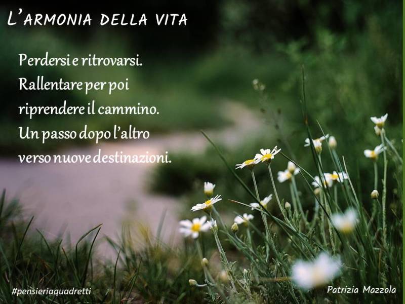 Blu, l’armonia della vita (6)